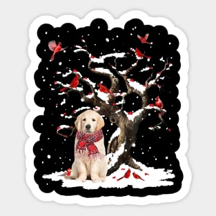 Golden Retriever Scarf Cardinal Snow Christmas Sticker